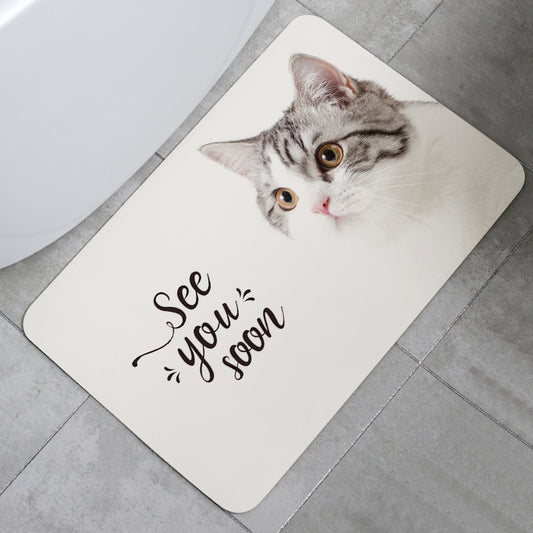 Nano Diatom Mud Mat Bathroom And Kitchen Oil And Water Absorption - Foto 1